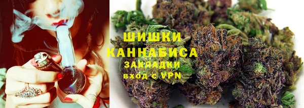 дживик Баксан