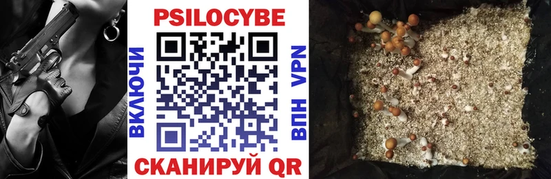 что такое   Шагонар  Галлюциногенные грибы Psilocybe 