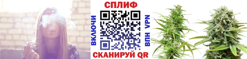 Конопля ГИДРОПОН Шагонар
